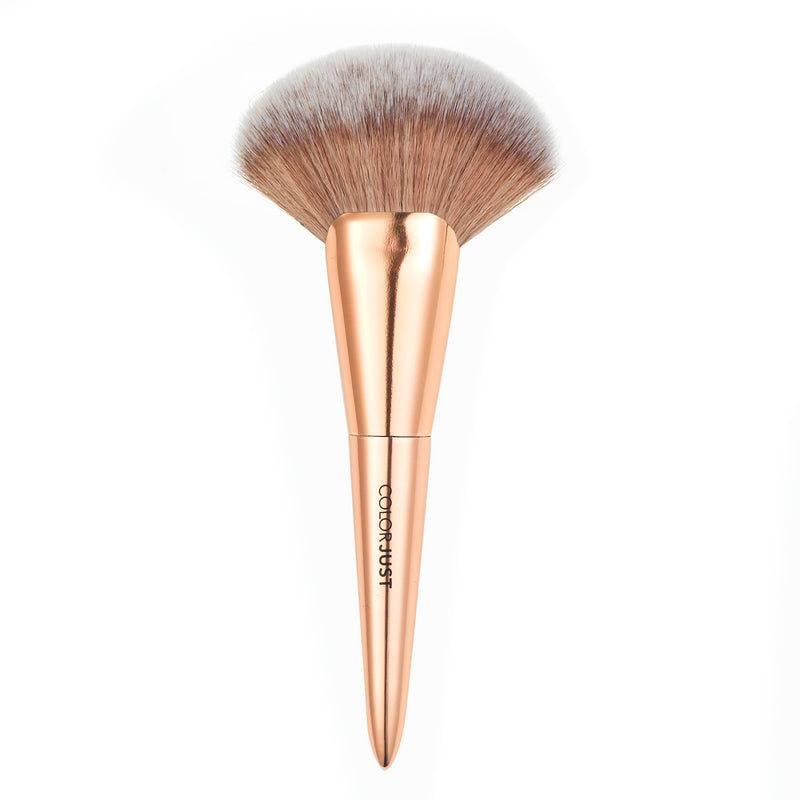 Colorjust Must Have Brush Collection in Polished Rose Gold