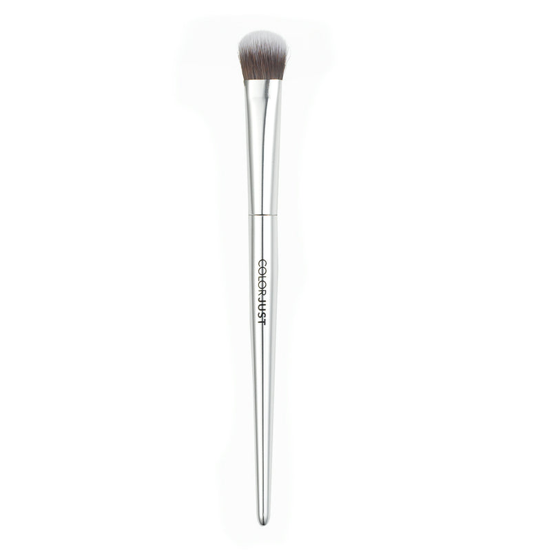Colorjust Must Have Brush Collection in Polished Silver Metal