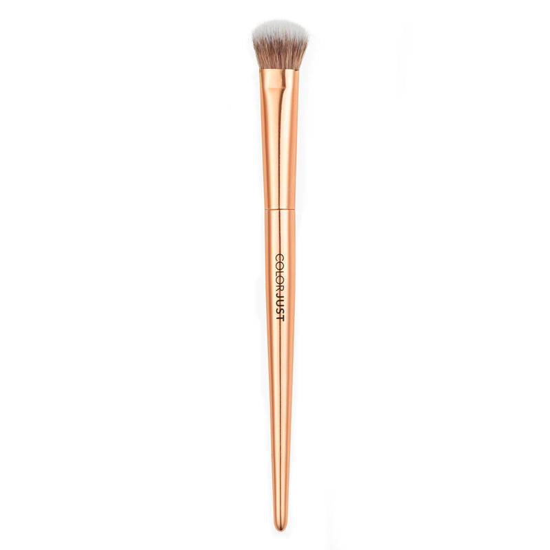 Colorjust Must Have Brush Collection in Polished Rose Gold