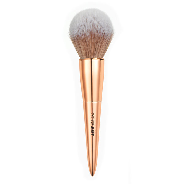 Colorjust Must Have Brush Collection in Polished Rose Gold