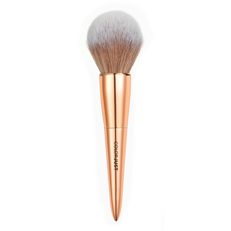 Colorjust Must Have Brush Collection in Polished Rose Gold